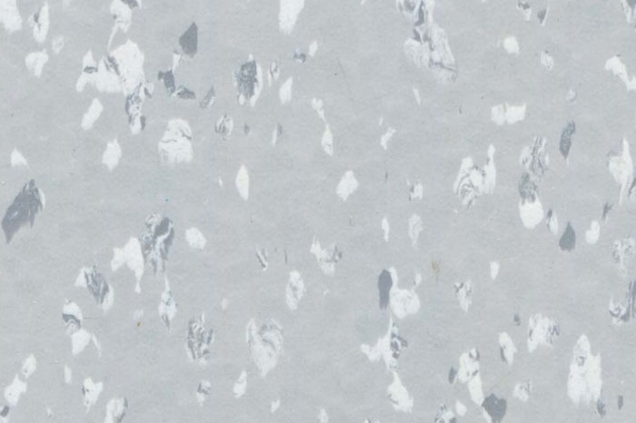 Light Silver 350117